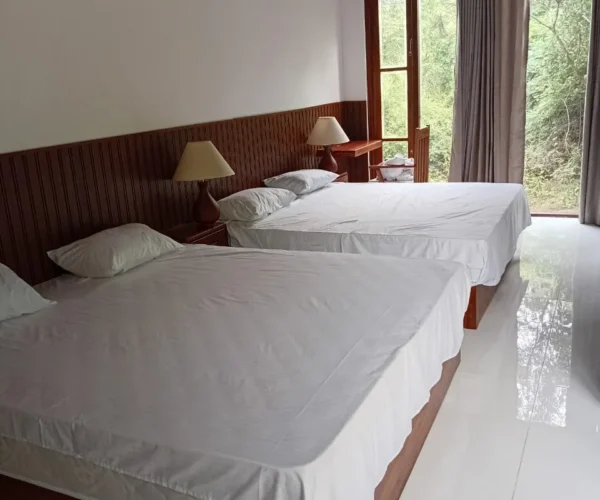 WEBP_IMG-20260106-WA0002_930